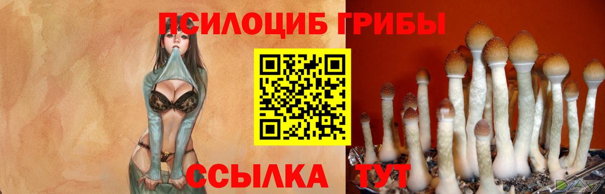 Псилоцибиновые грибы Magic Shrooms Менделеевск